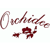 Orchidee-avatar