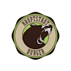 Hauptstadtburger-avatar