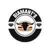 Diamant's Burger - Pizza Feldkirchen-avatar