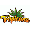 Tropicana Lüneburger Hof Hotel and Restaurant-avatar