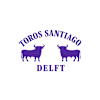 Toros Santiago Delft-avatar