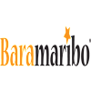 Baramaribo Amsterdam-avatar
