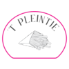 't Pleintje-avatar