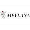 Mevlana-avatar
