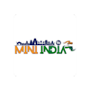 Mini India-avatar