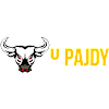Kebab & Burger u Pajdy-avatar