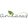 Ambaras-avatar