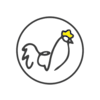 Kura Na Chłodnej-avatar