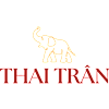THAI TRAN-avatar