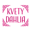 Kvety Dahlia-avatar