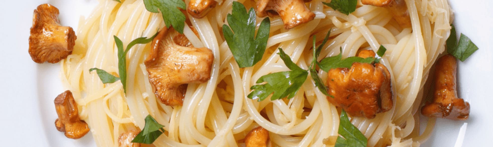 Stefano's Pizzeria Den Bosch Online bestellen