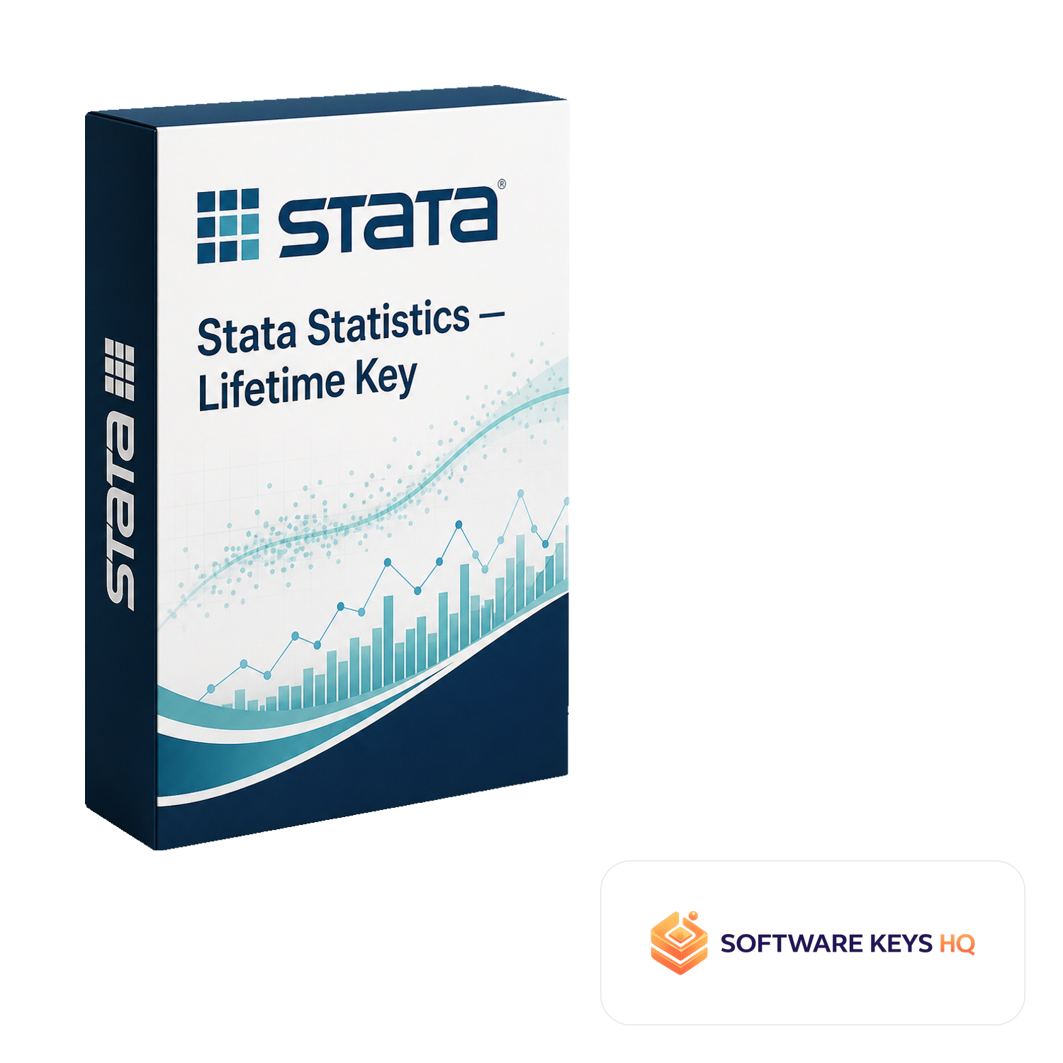 Stata Statistics Lifetime Key software box