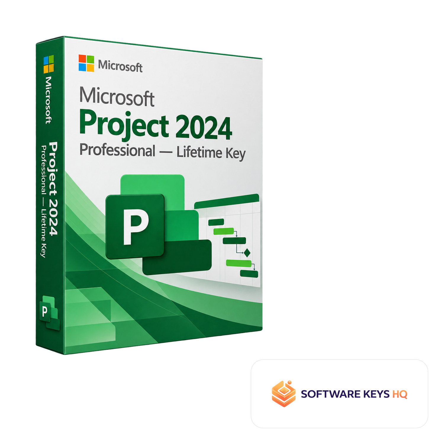 Microsoft Project 2024 Professional Lifetime Key software box