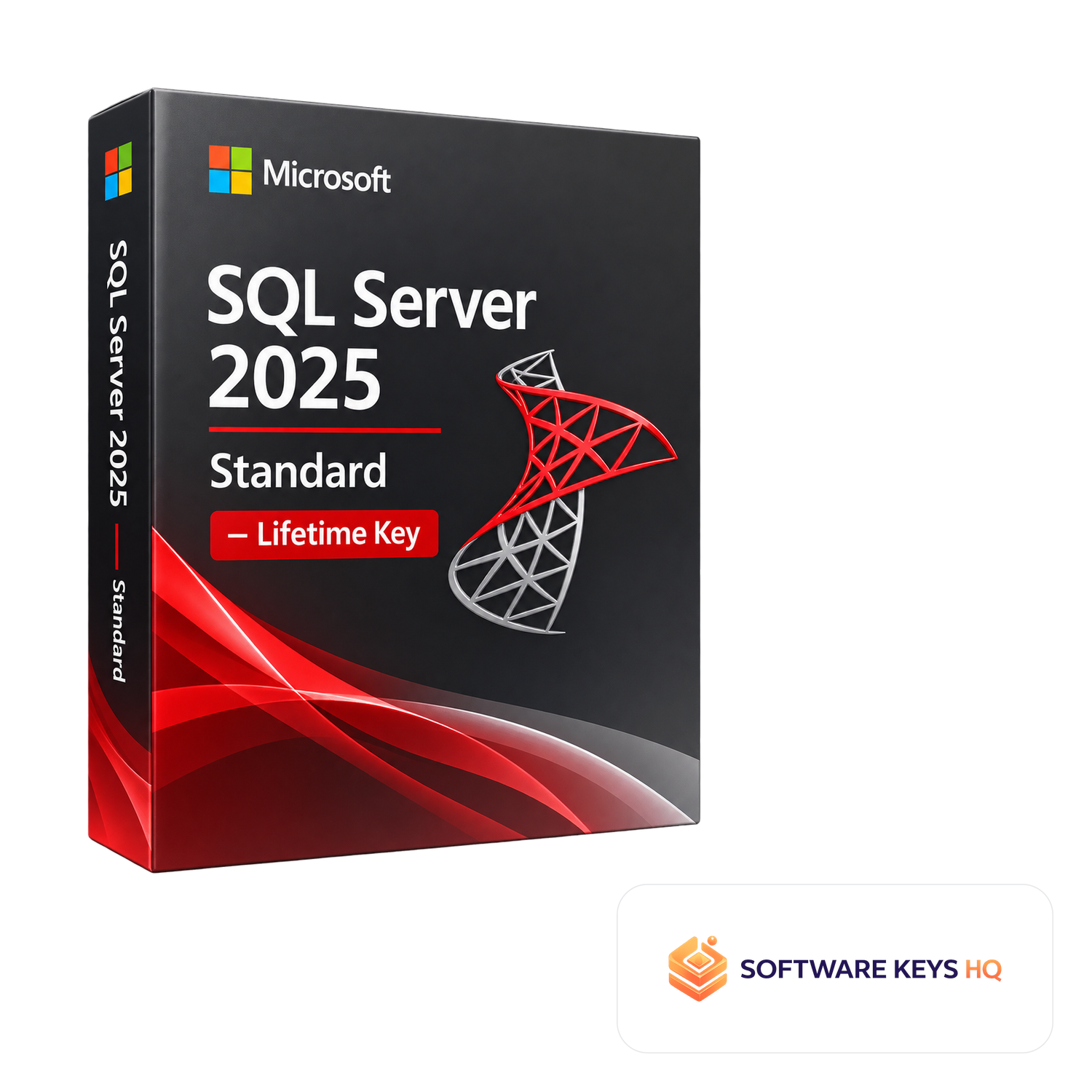 SQL Server 2025 Standard Lifetime Key software box