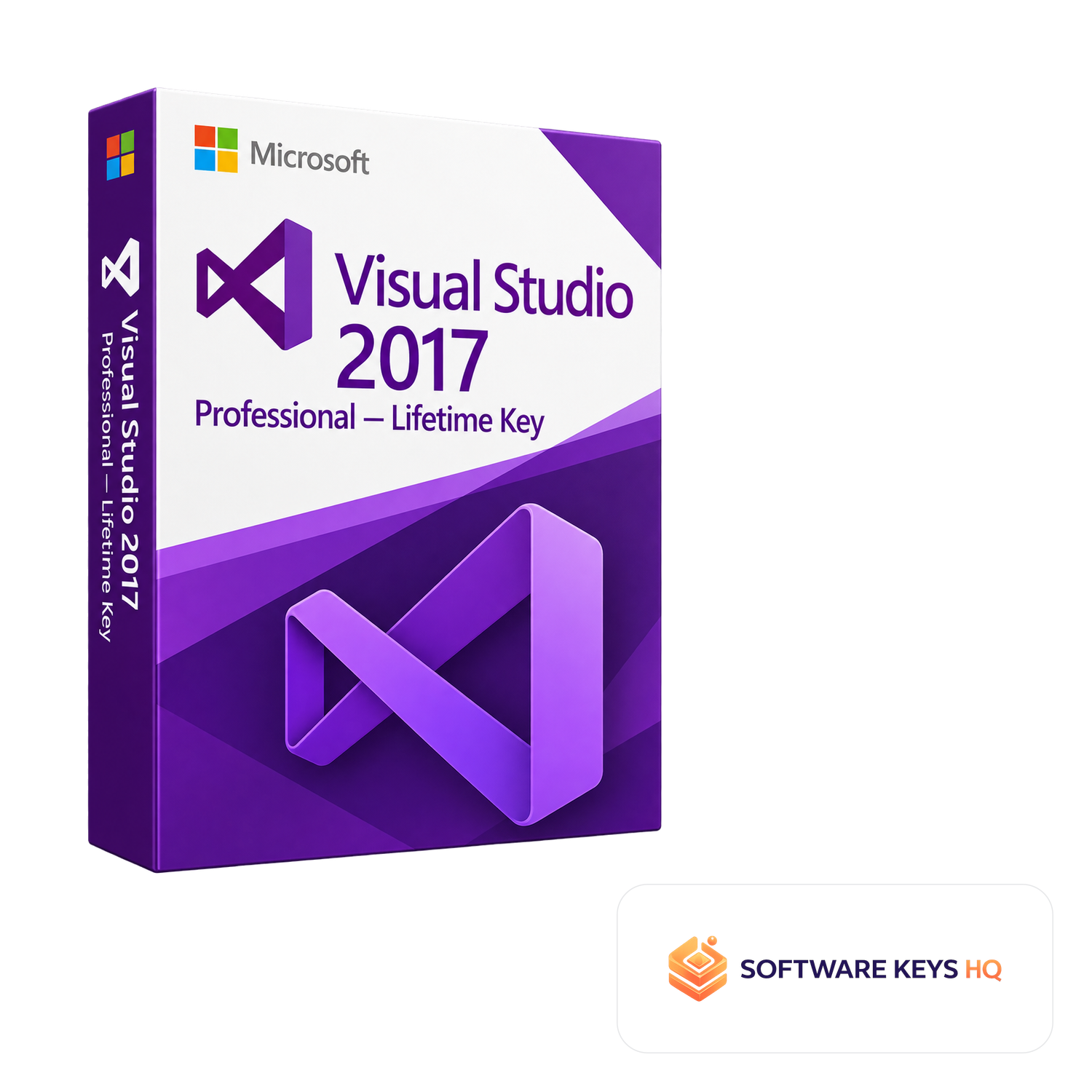 Visual Studio 2017 Professional Lifetime Key software box