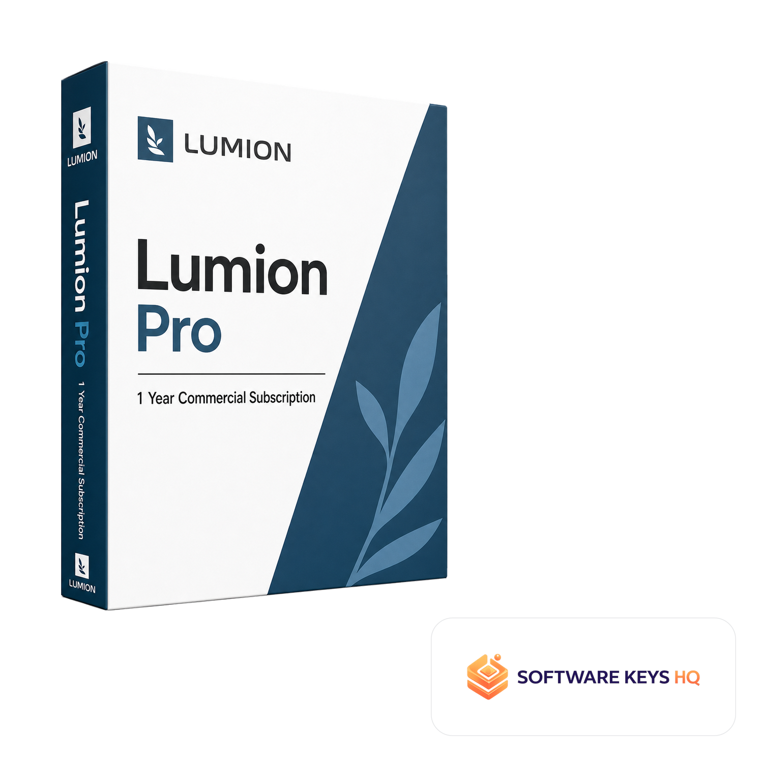 Lumion Pro 1 Year Commercial Subscription software box