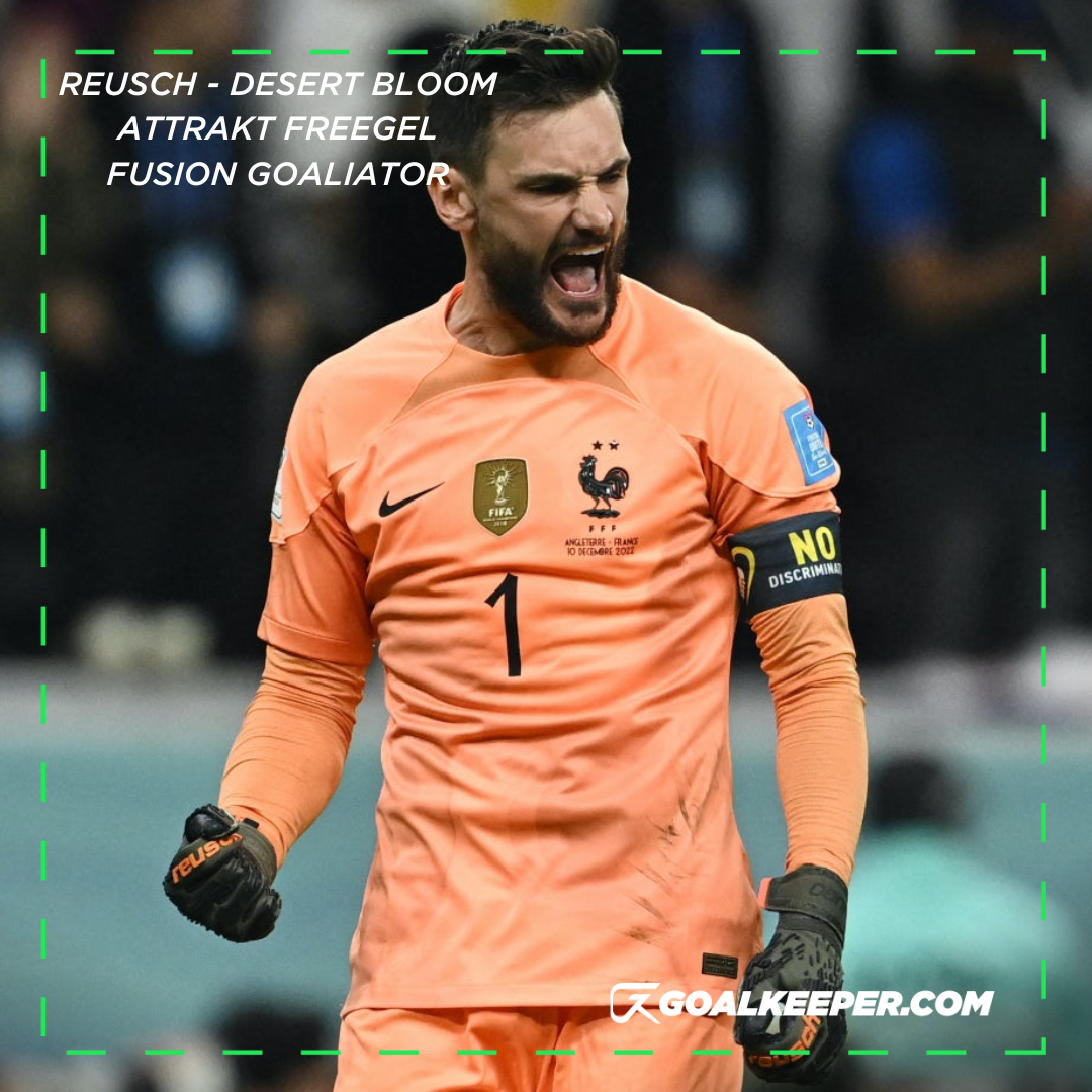 France vs Argentina: Can Hugo Lloris Catch Emiliano Martinez, Yassine  Bounou in World Cup Golden Glove Race?