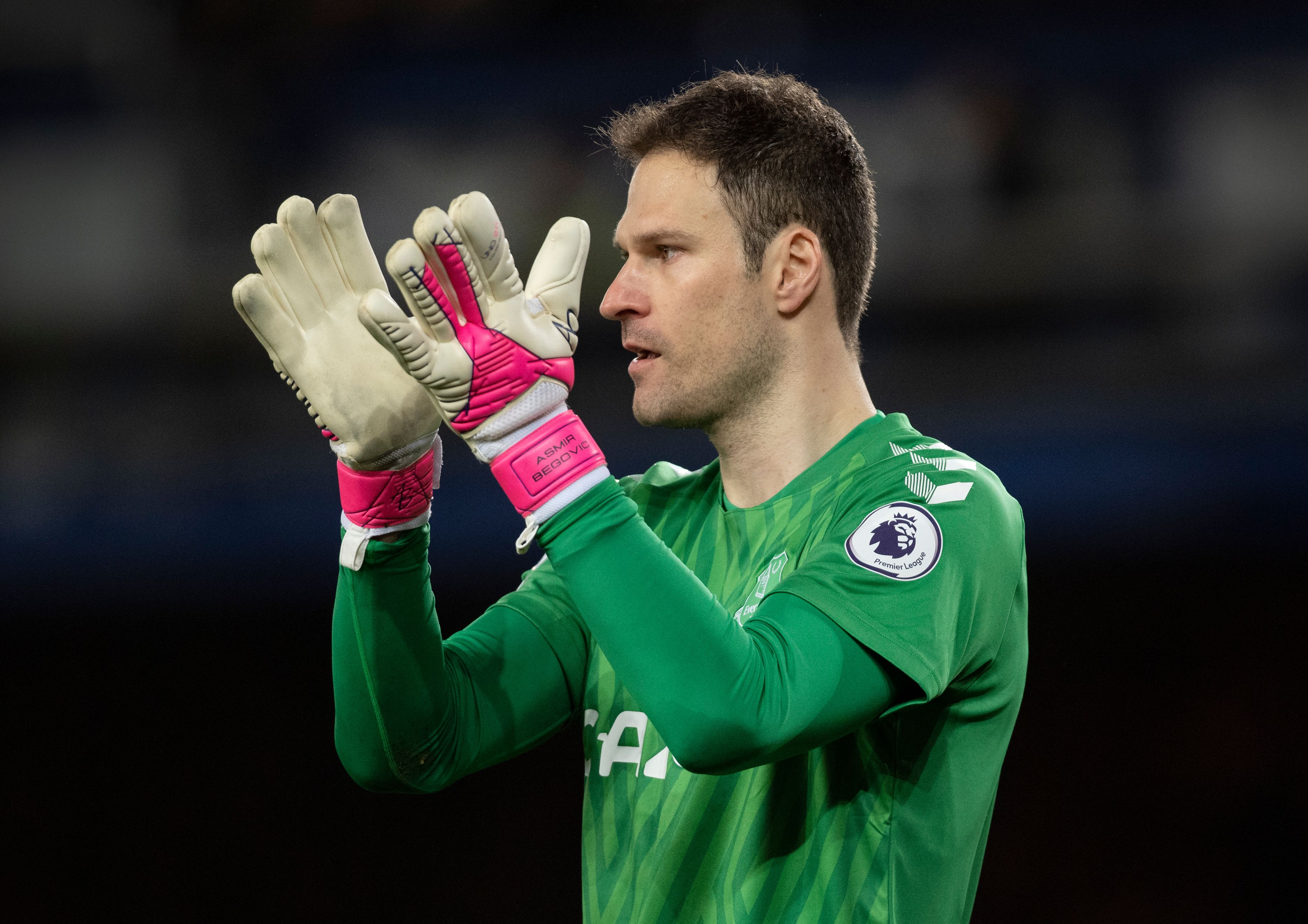 Asmir Begovic.jpg