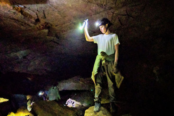 $10 off $20 on any Zipline, Rappel or Cave Tour Pkg of Horse Cave, KY Coupons and Deals