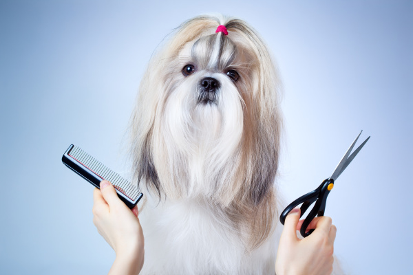 $10 OFF $40 Grooming Service of Bowling Green, KY Coupons and Deals