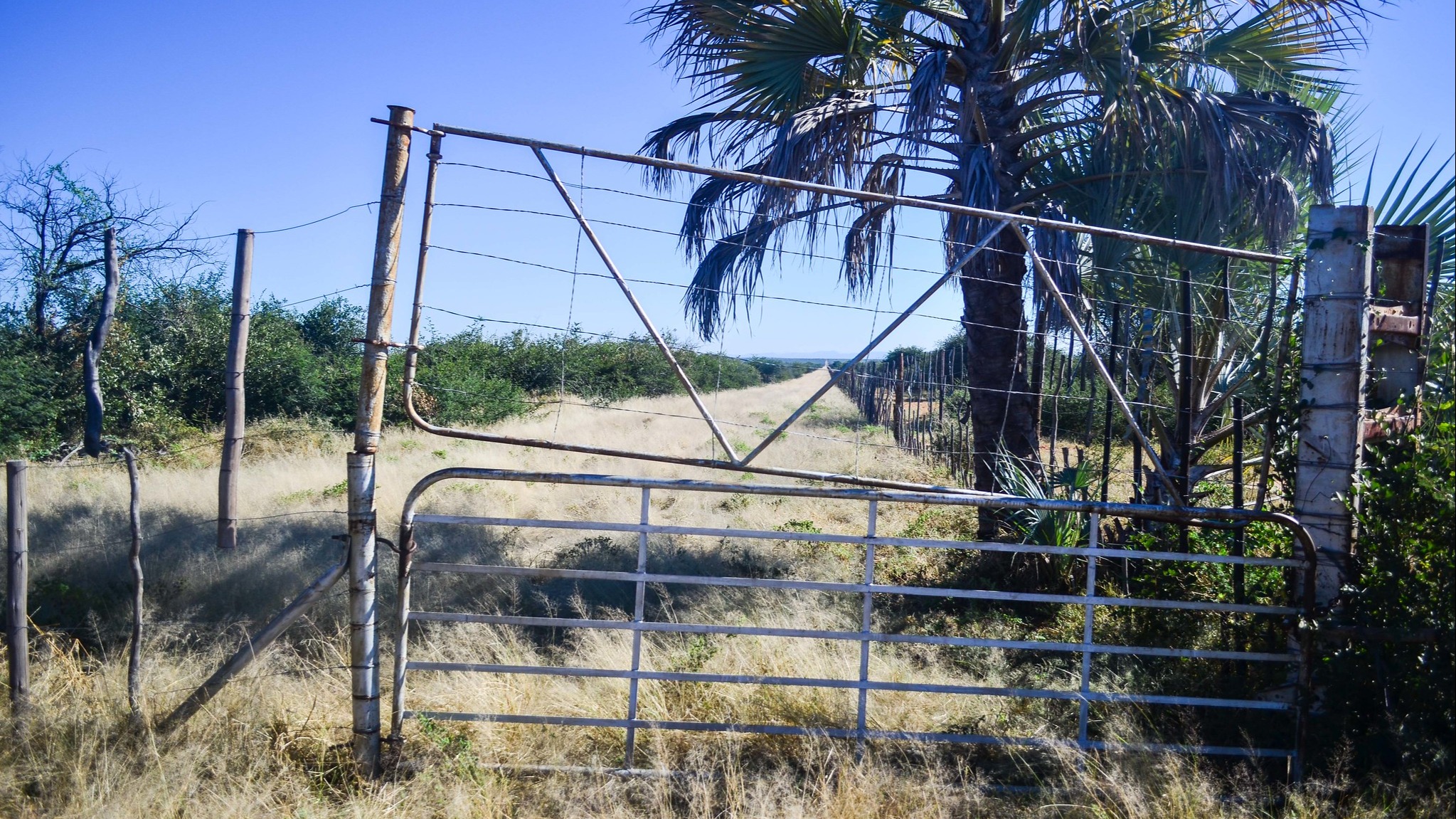 Strengthening responsible land governance by linking land rights to human rights