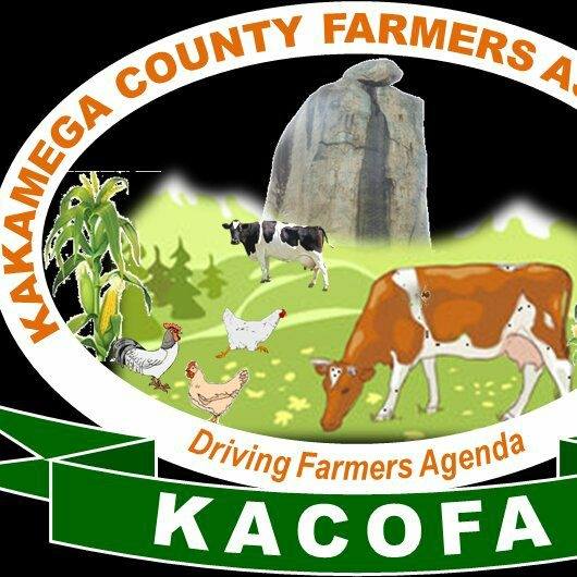 Kakamega County Farmers Association (KACOFA)