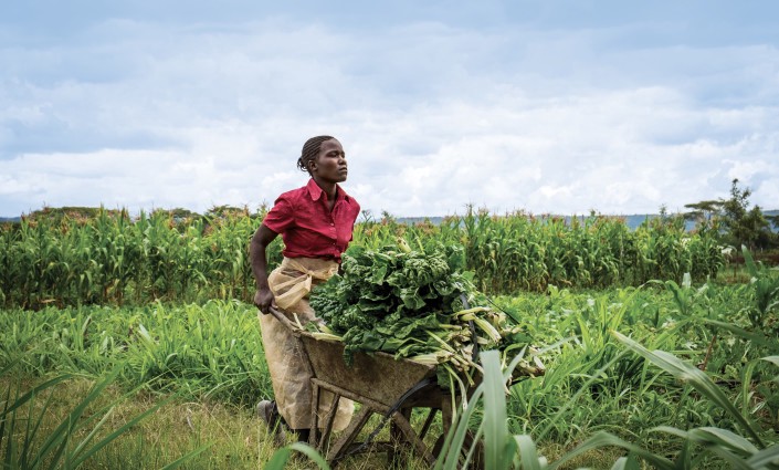 Agri-Jobs 4 Youth