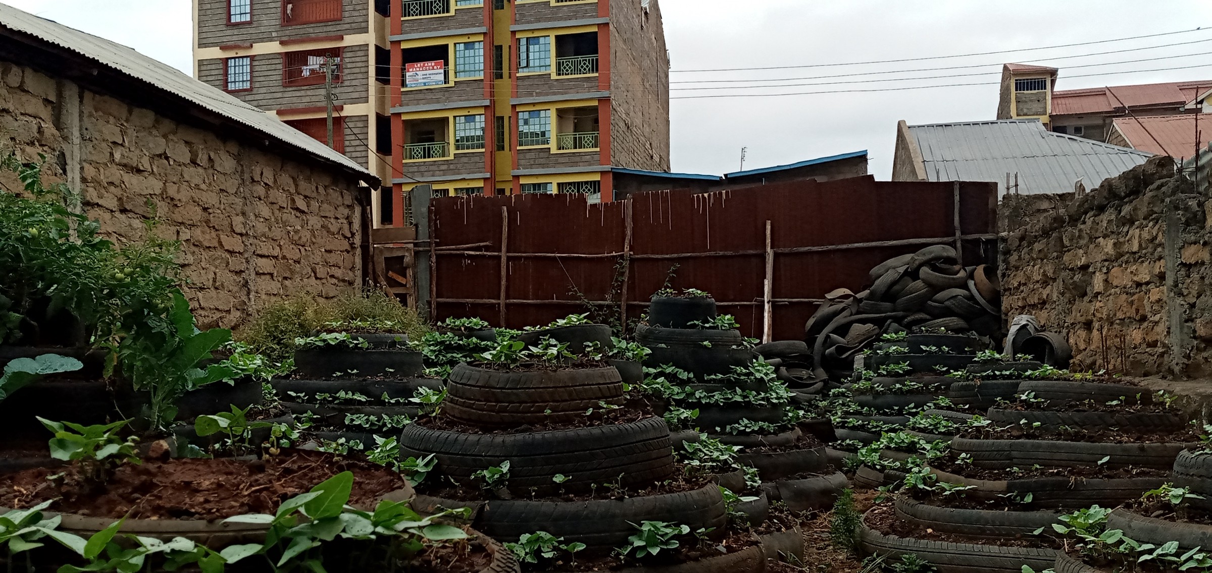 urban-garden