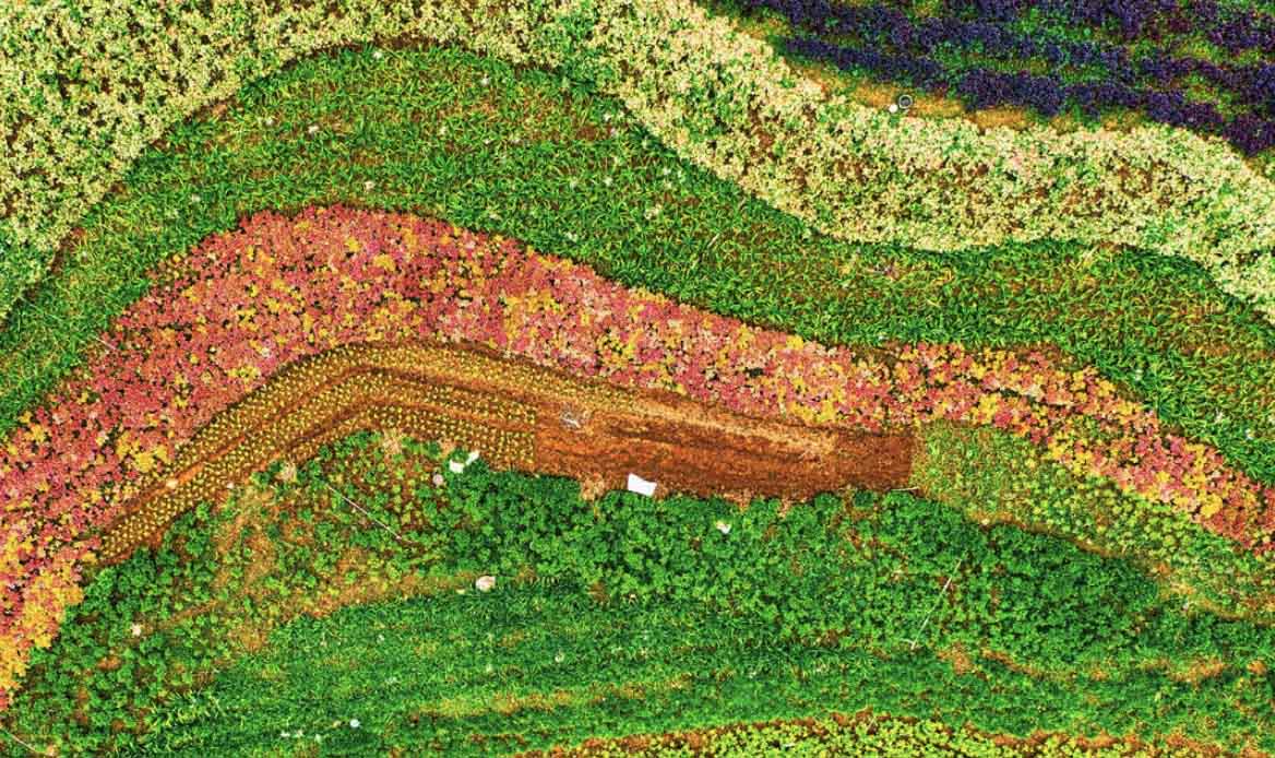 Did 2024 - the year of the triple COP - change anything for land rights?