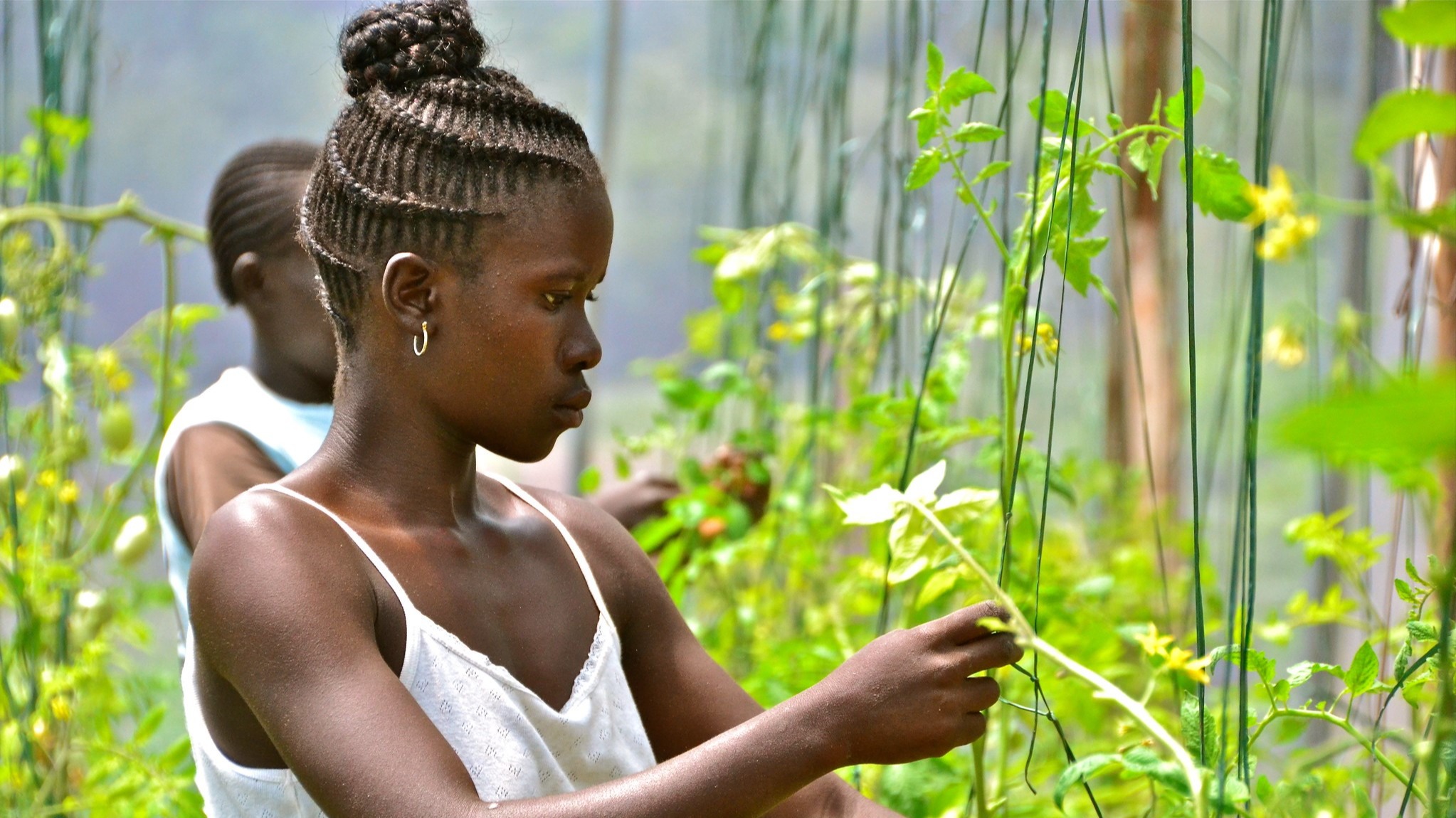 The many faces of sustainability