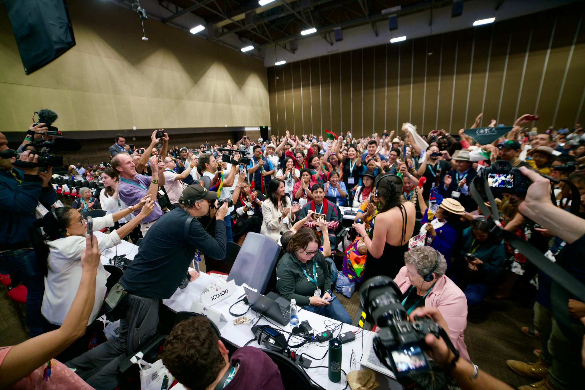 Unlocking Land Tenure: Pathways for policy action after the triple COPs of 2024