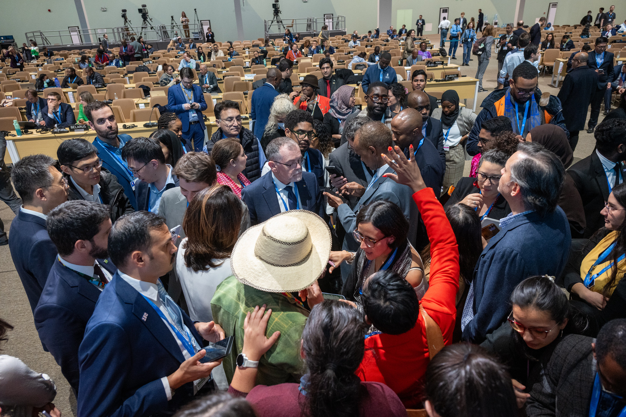COP29, 23 November Closing Plenary  © COP 29 Azerbaijan, 2024