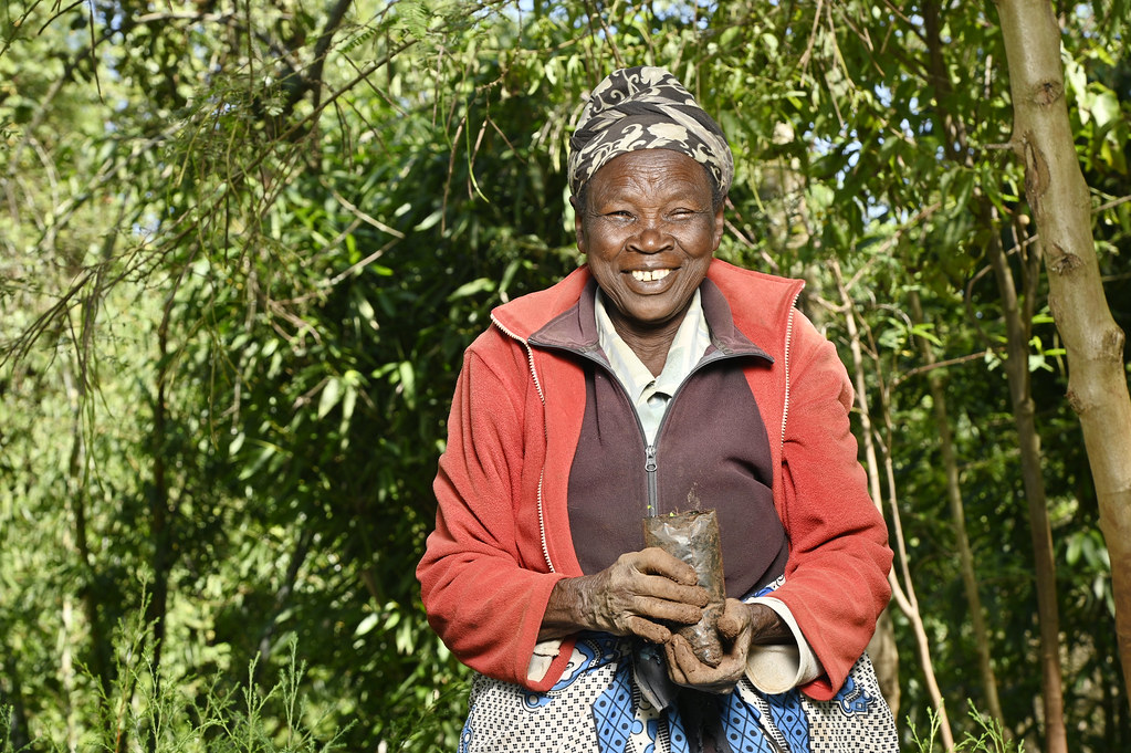 Strengthening international solidarity for climate resilience