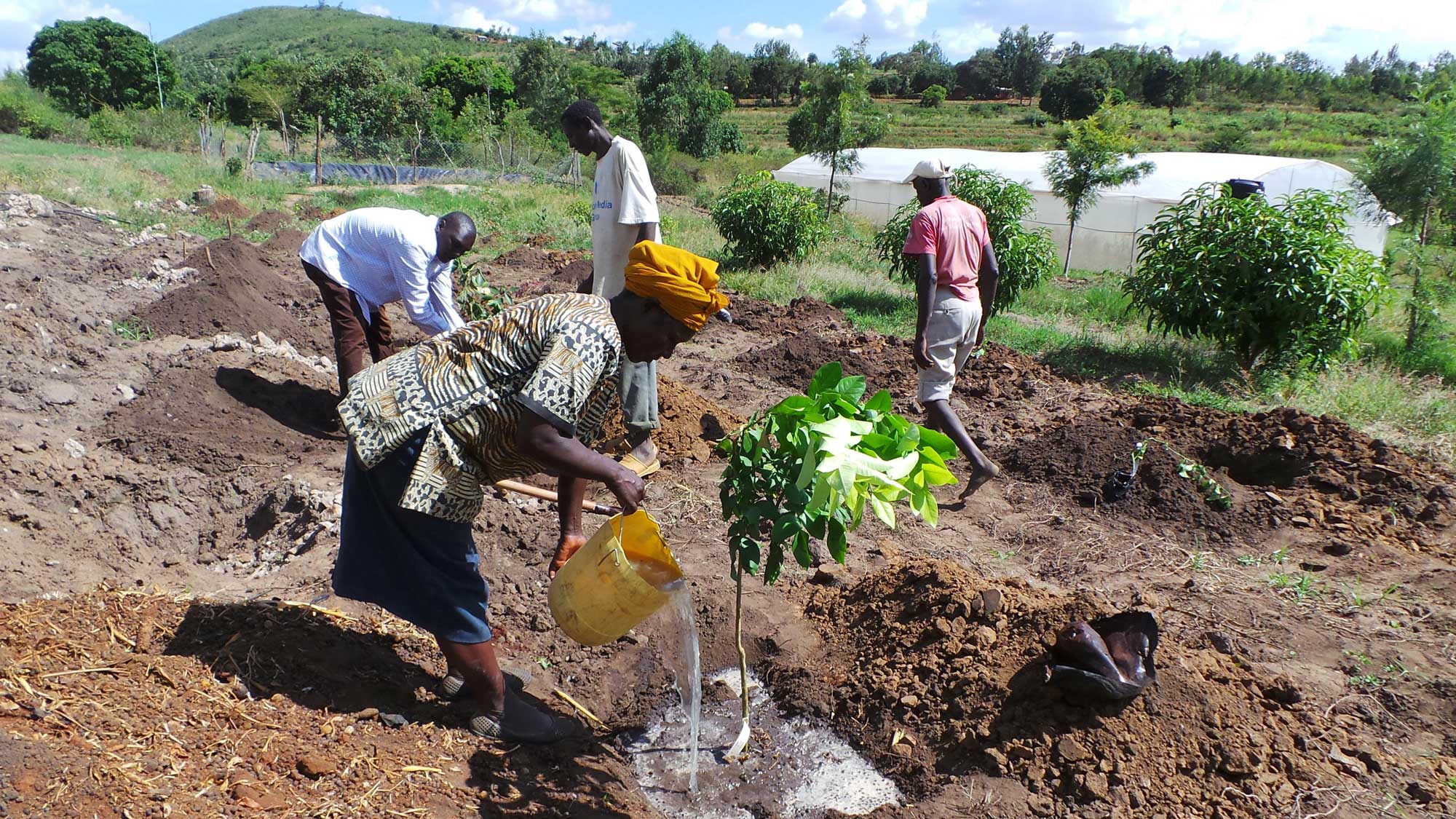 Creating an enabling environment for nature-based solutions to climate change