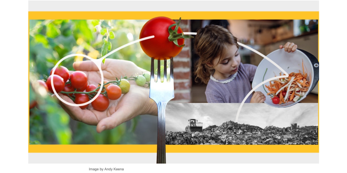 The hidden cost of the American food system