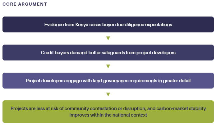 Carbon Markets flow chart