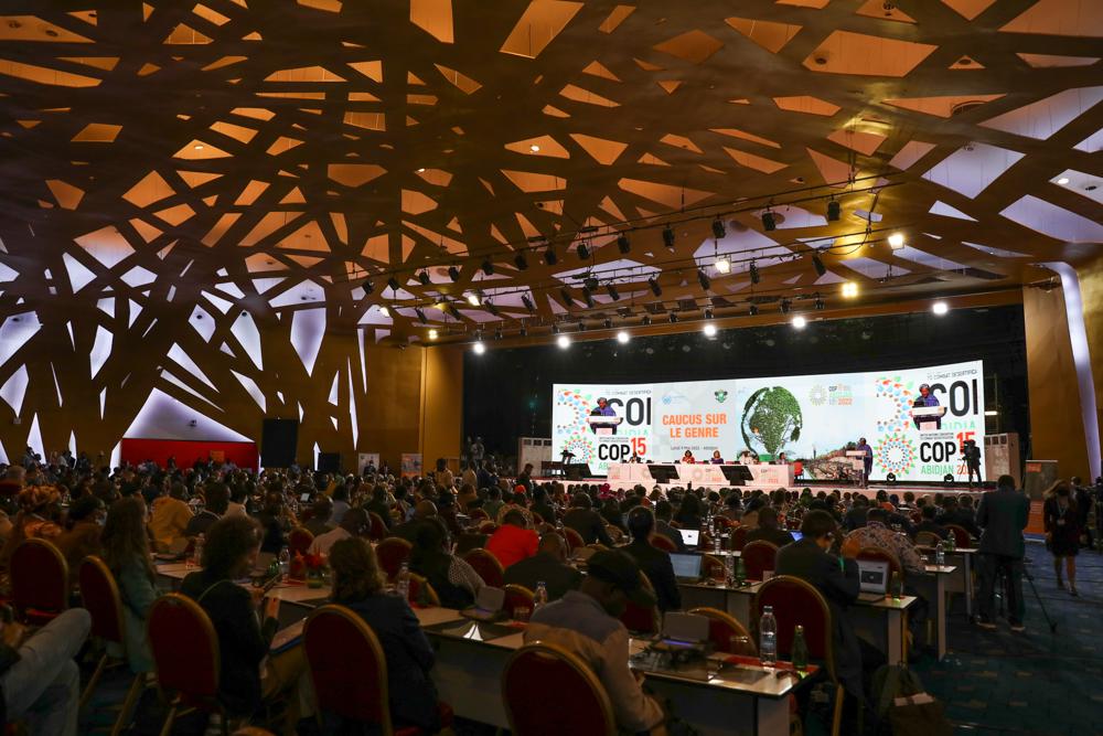 COP 15 delegates