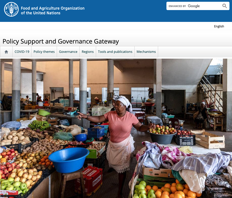 Reimagining agrifood systems: from buzzwords to actionable change