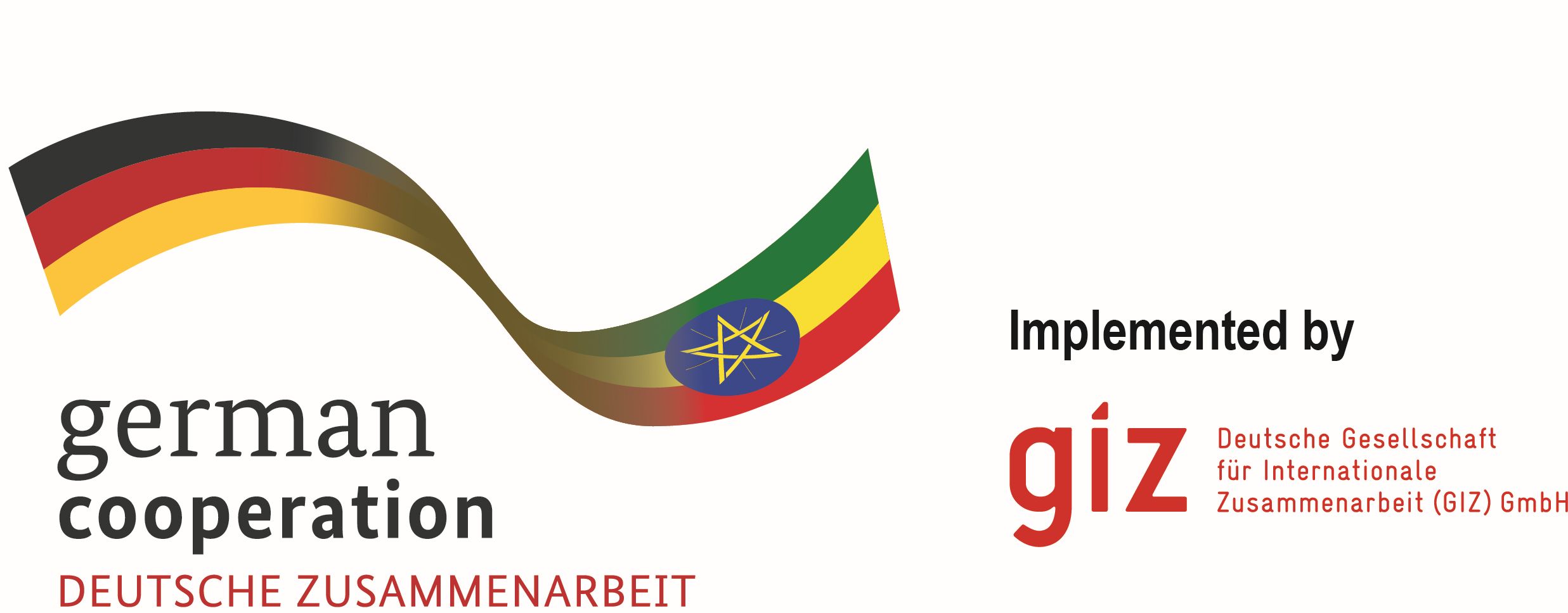 Deutsche Gesellschaft für Internationale Zusammenarbeit (GIZ) GmbH - Ethiopia