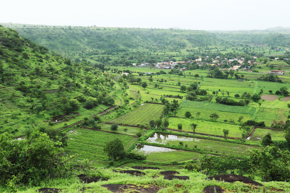 Strengthening water user associations through digitalization: A field experiment in Southern Maharashtra