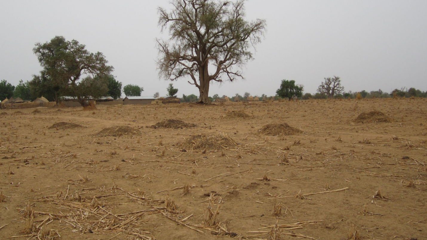 Just Transitions Towards Carbon Neutral Landscapes: Tenure Rights for Restoration