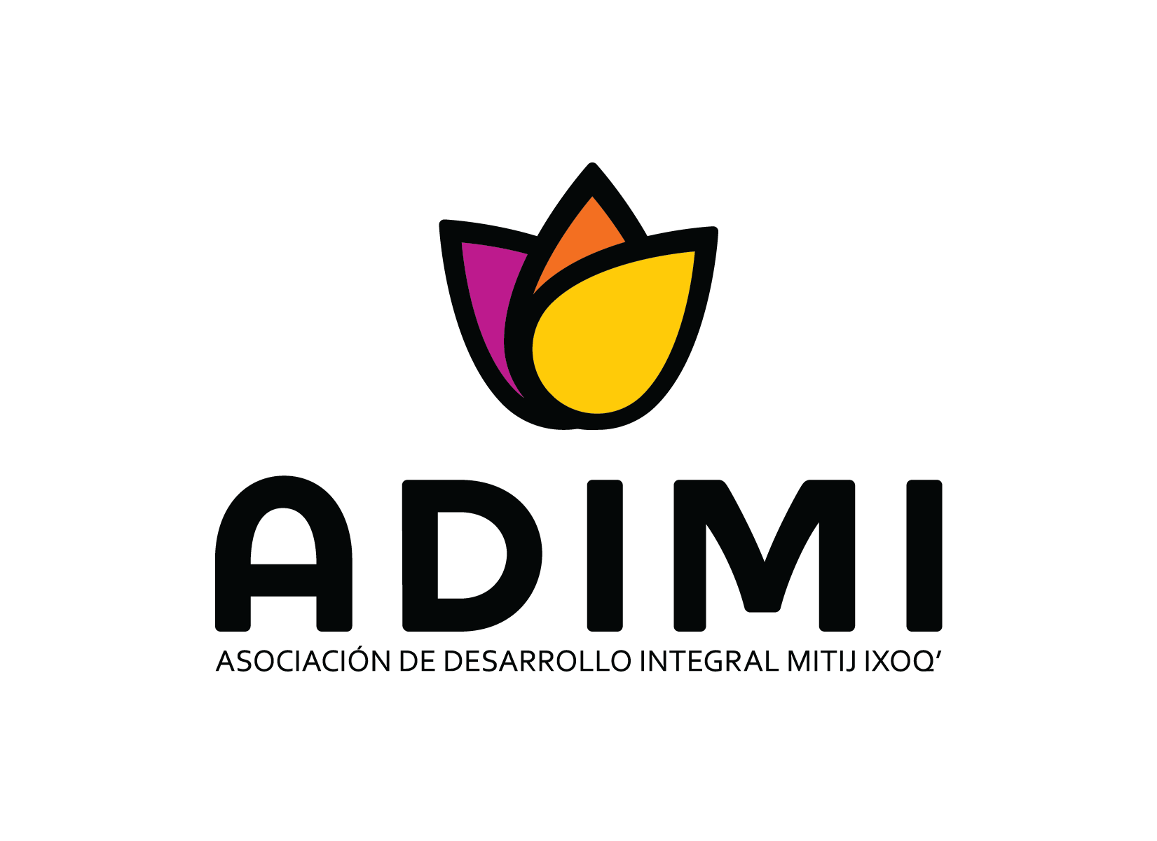 Asociación de Desarrollo Integral Mitij Ixoq (ADIMI)