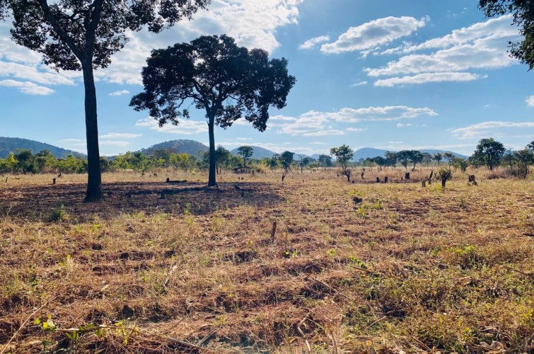 The significance of  community-level land and  forest governance institutions  for land restoration and  land degradation  neutrality programmes: A case study of  Bua catchment area  in Malawi