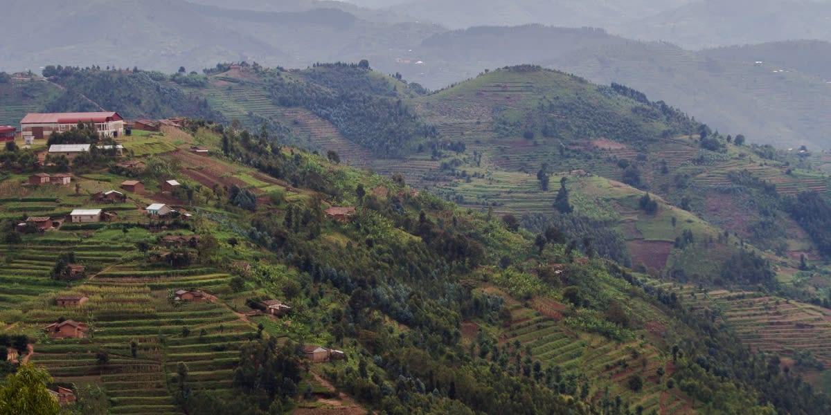 Land rights are key to just climate action, new report “Net Zero & Land Rights” by TMG Research and Robert Bosch Stiftung shows