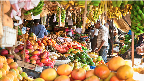 A lot on our plate: Dietary patterns as a starting point for the sustainable transformation of food systems
