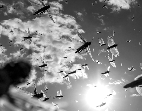 Unveiling the hidden costs of climate-related disasters in eastern Africa