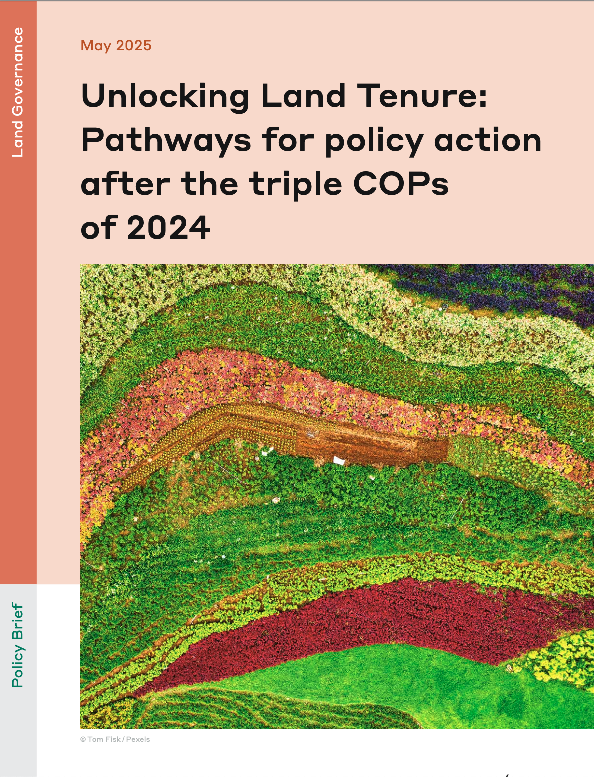 Unlocking Land Tenure: Pathways for policy action after the triple COPs of 2024