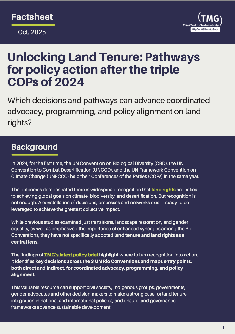 Factsheet: Unlocking Land Tenure: Pathways for policy action after the triple COPs of 2024