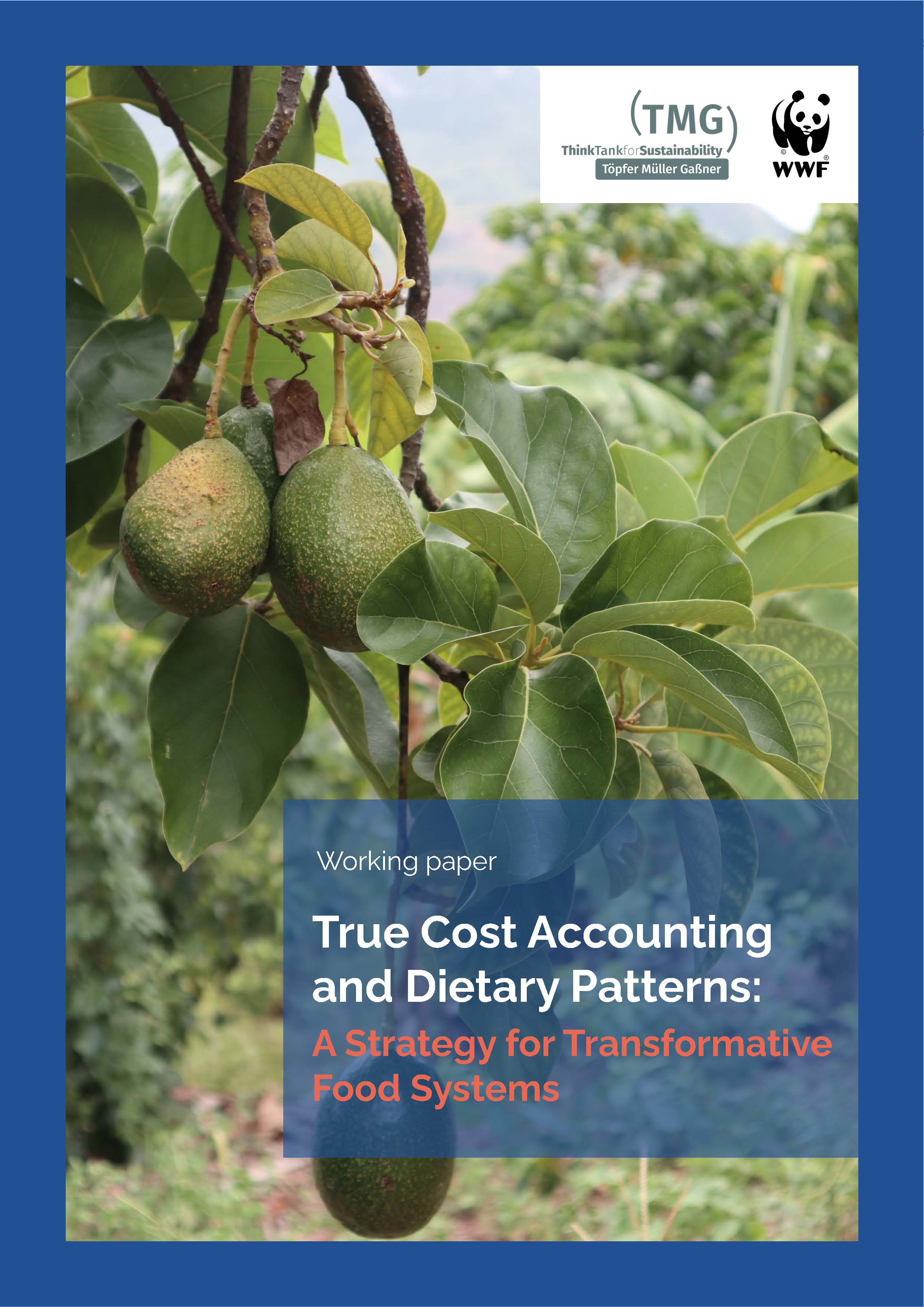 True Cost Accounting and Dietary Patterns: A Strategy for Transformative Food Systems