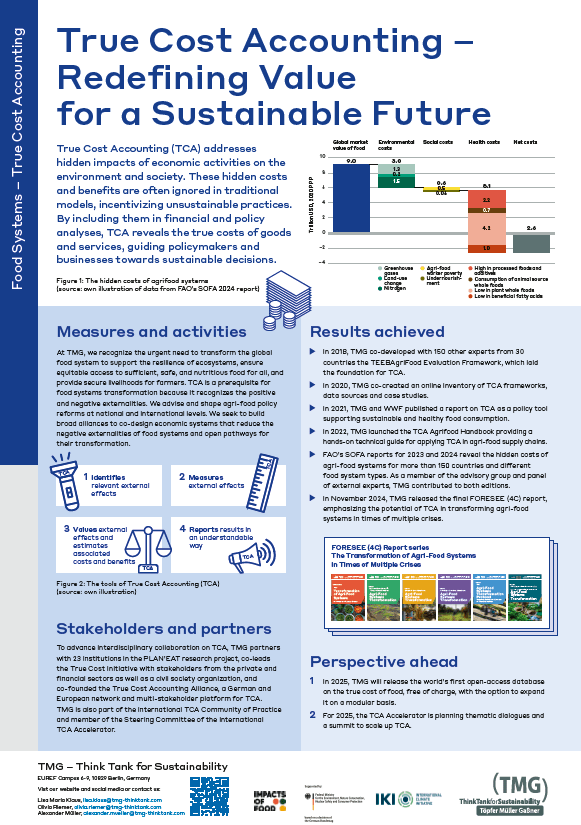 True Cost Accounting – Redefining Value for a Sustainable Future